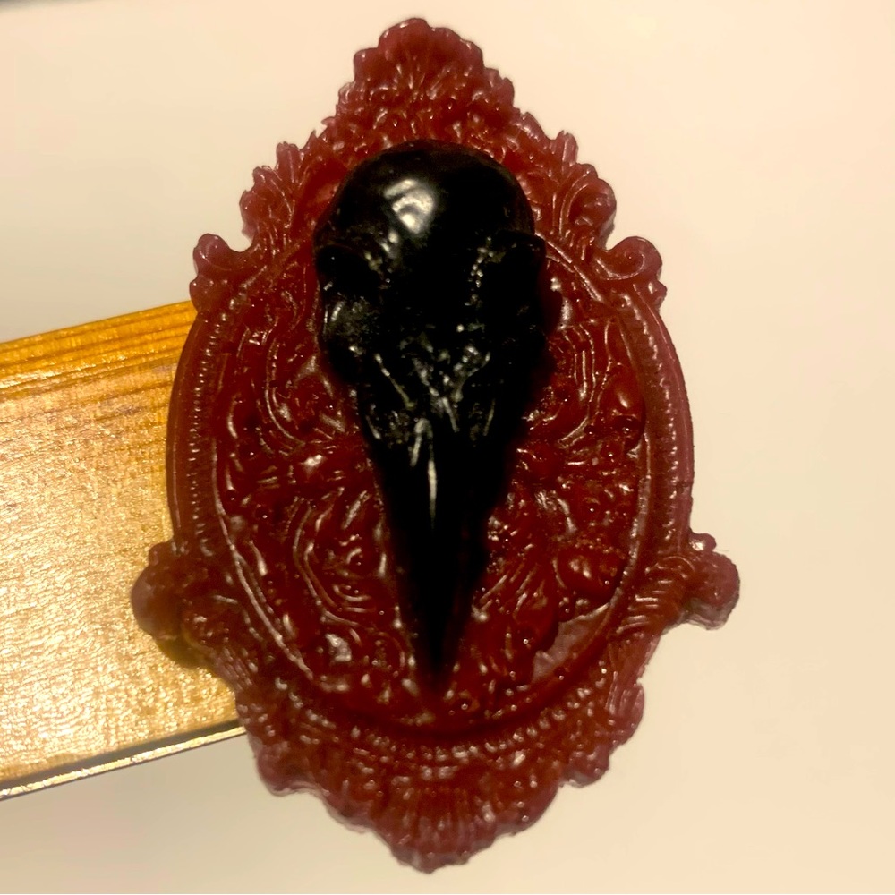 Raven Skull Cameo Taxidermy Pin Brooch Crow Frame Gothic Lapel Red Black